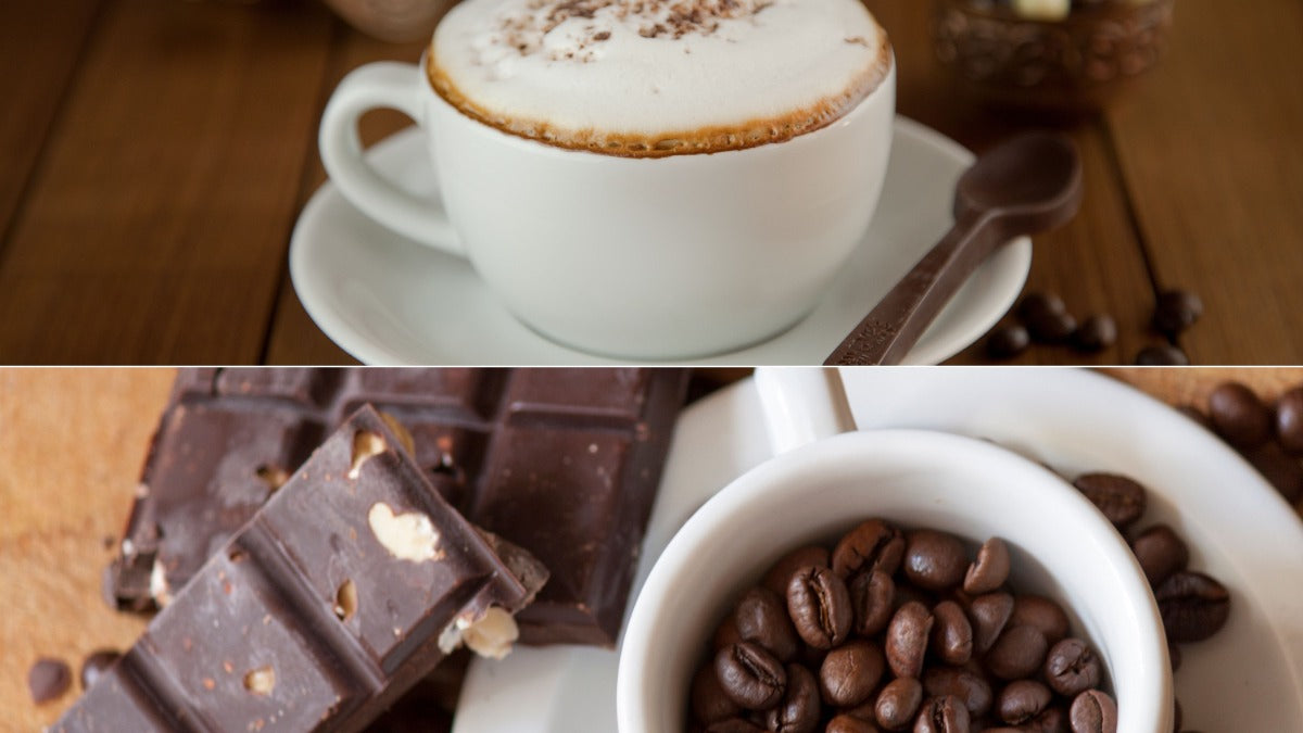 Cappuccino vs Mocha